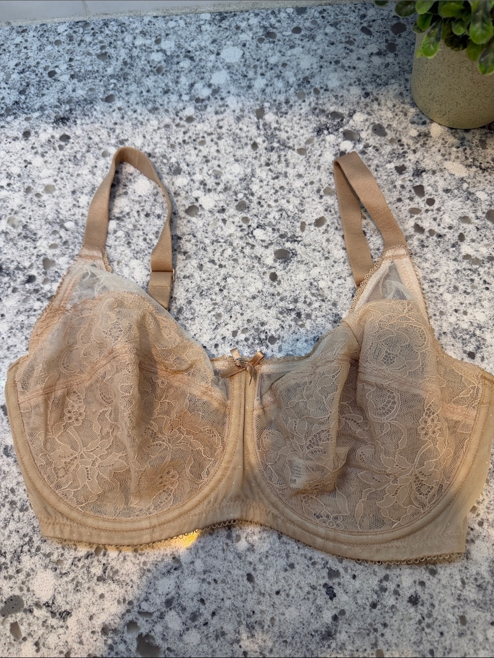 Wacoal Nude Lace Underwire Bra with Full Coverage size 32DDD